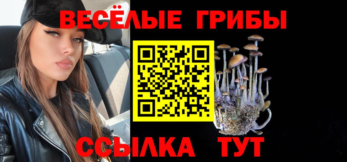 Псилоцибиновые грибы Psilocybe Лениногорск