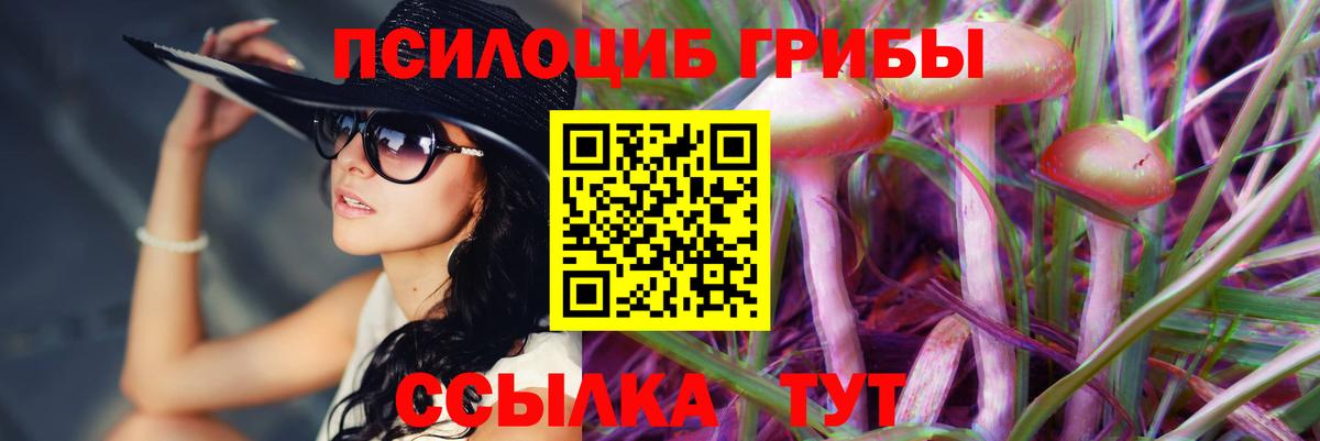 Псилоцибиновые грибы Magic Shrooms  как найти закладки  Лениногорск  Вход с VPN 